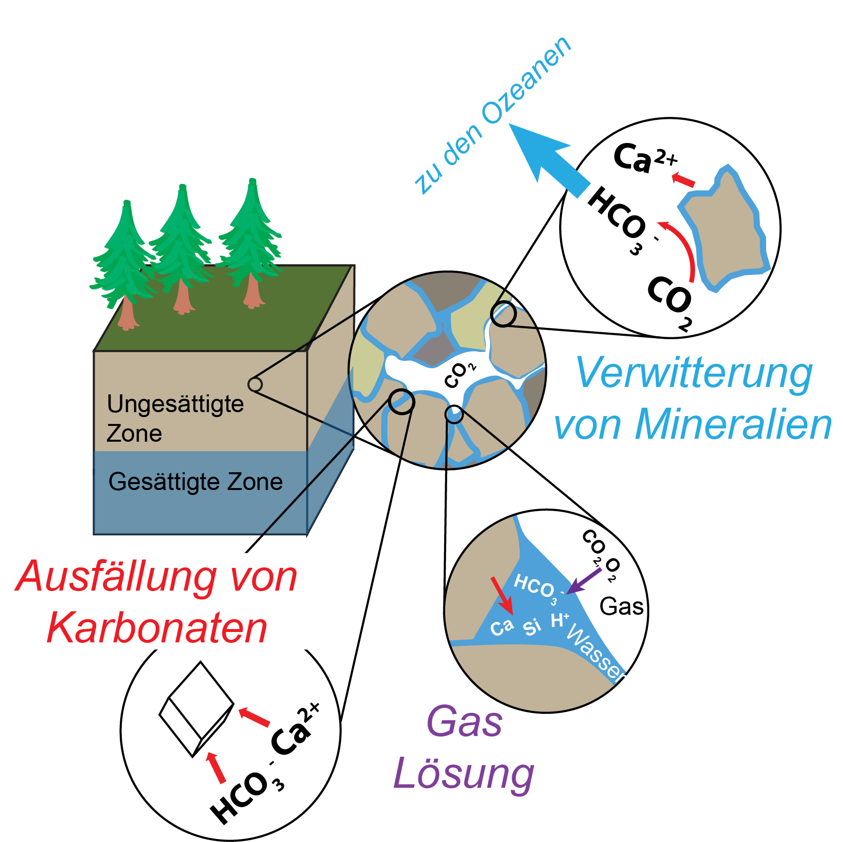 Schma Umweltgeologie