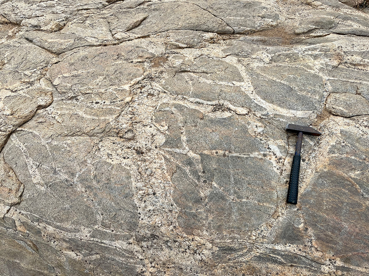 Metamorphic Tonality Gneiss