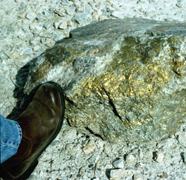 Ore sample containing copper-sulphide