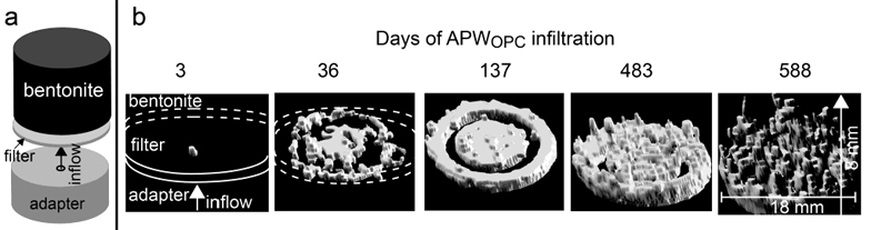 Evolution of the reaction plume