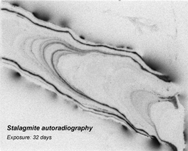 Stalagmite autoradiography