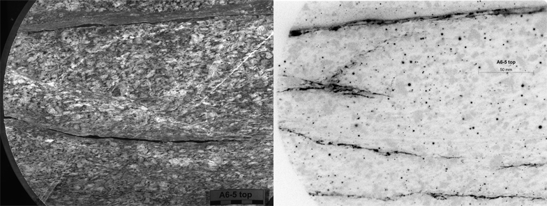 Autoradiograph of granitic rock