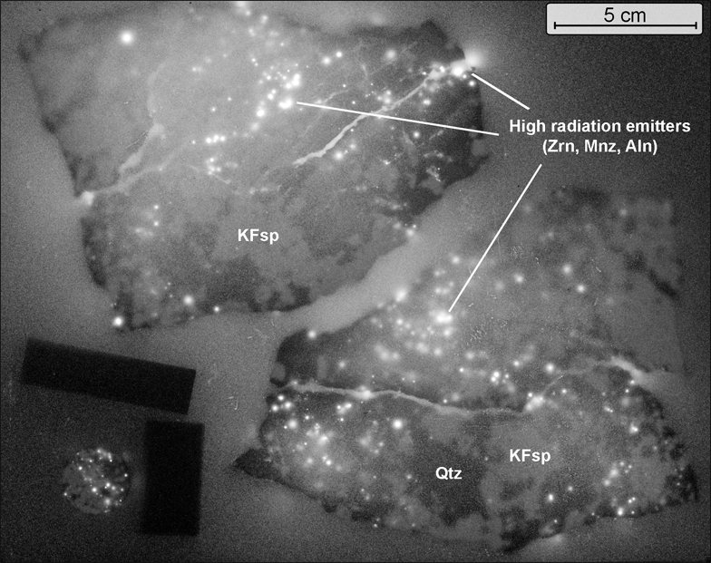 Inverted autoradiography