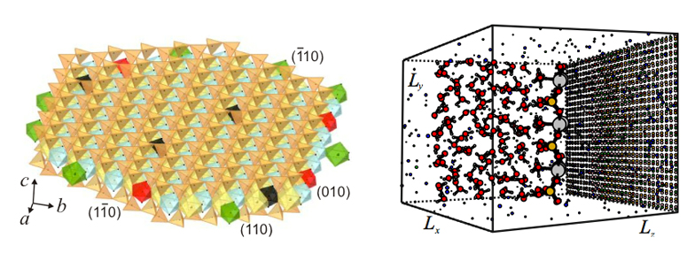 Thermodynamics and mobility of fluids in mineral systems