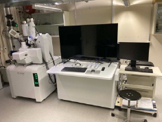 electron probe microanalyzer