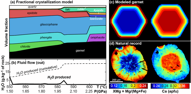 State-of-the-art petrological model for a typical metasediment