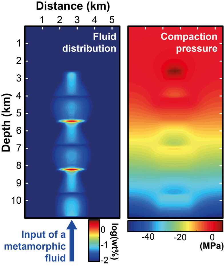 Numerical simulation of fluid flow