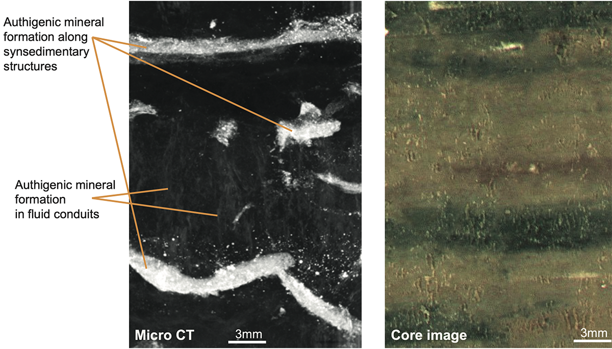 Micro CT and core image, Lake Towuti, Indonesia