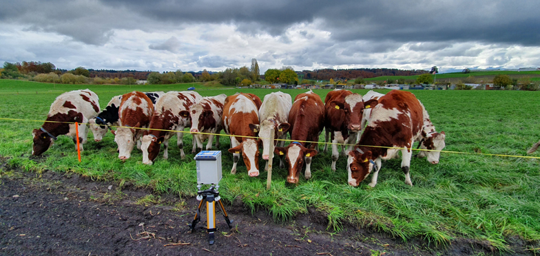 Gravimeter Messungen