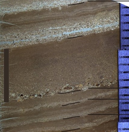 Sedimentkern aus dem Oeschinensee