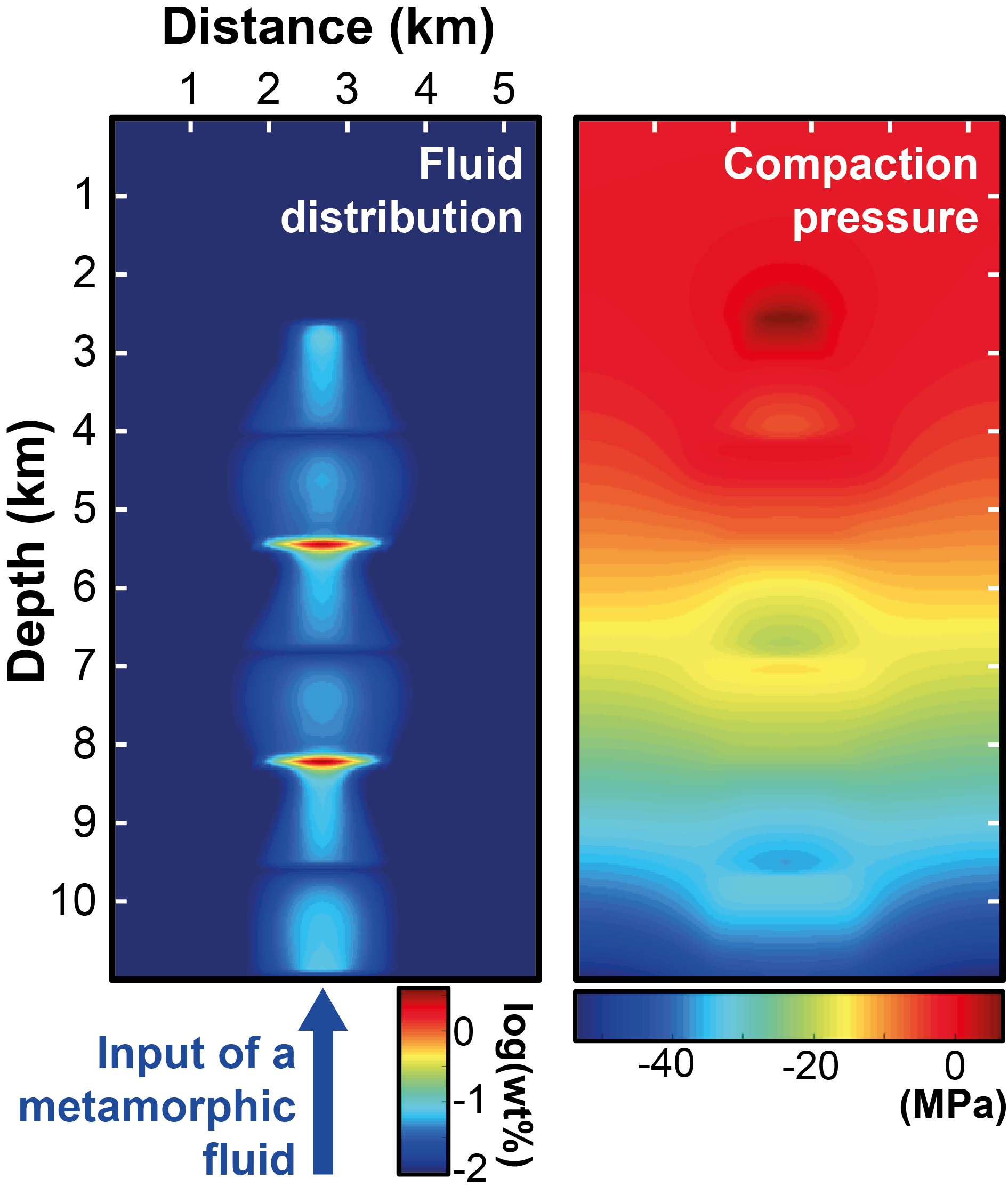 Numerical simulation of fluid flow