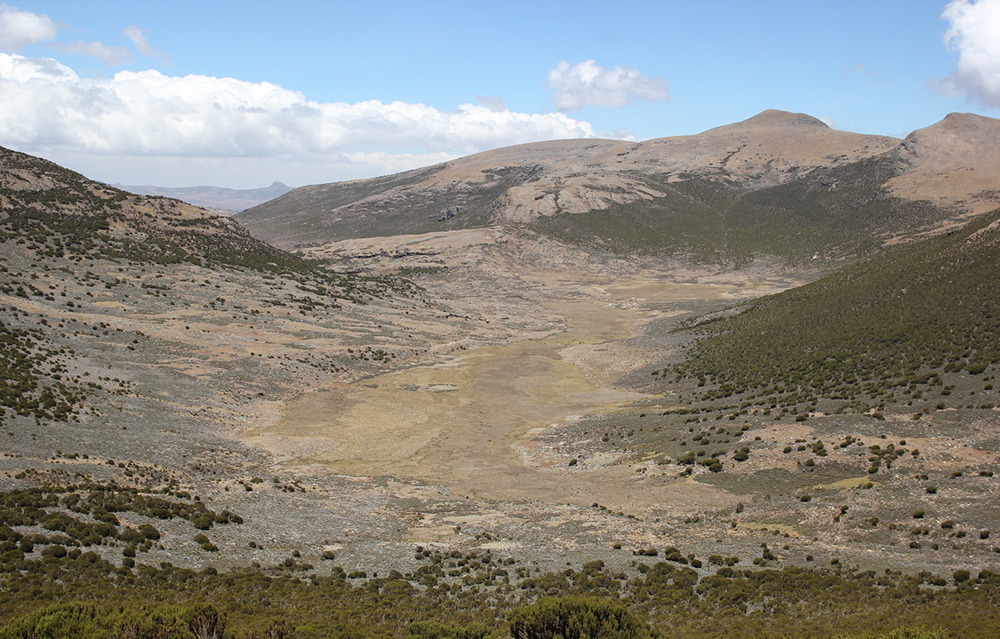 Das Wasama-Tal in den Bale Mountains mit heutiger Vegetation. Zu der Zeit der Middle Stone Age-Jäger-Sammler versperrte ein Talgletscher den Zugang zum zentralen Plateau. Dennoch gewannen die prähistorischen Menschen (auf 4‘240 m: dem Berggrat im Zentrum der Abbildung) das Obsidian zur Herstellung ihrer Werkzeuge. Bild: Götz Ossendorf